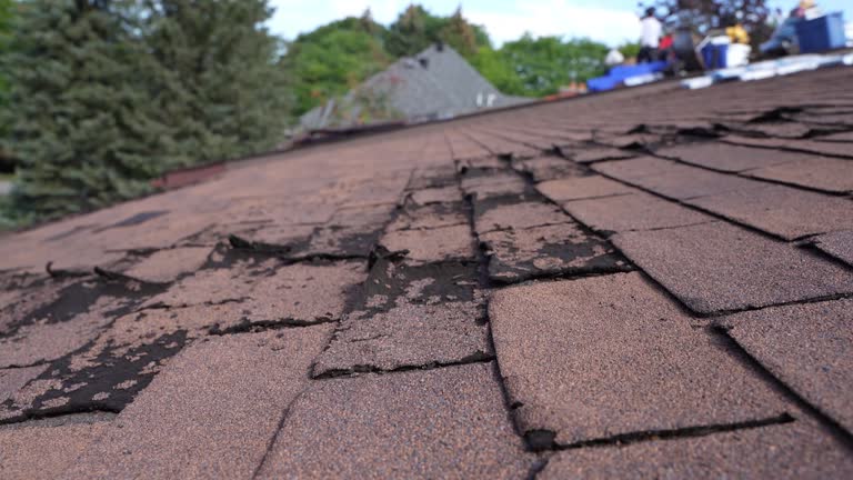 Best Asphalt Shingle Roofing  in Boaz, AL