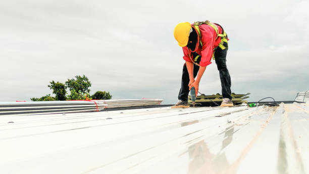 Best Skylight Installation and Repair  in Boaz, AL